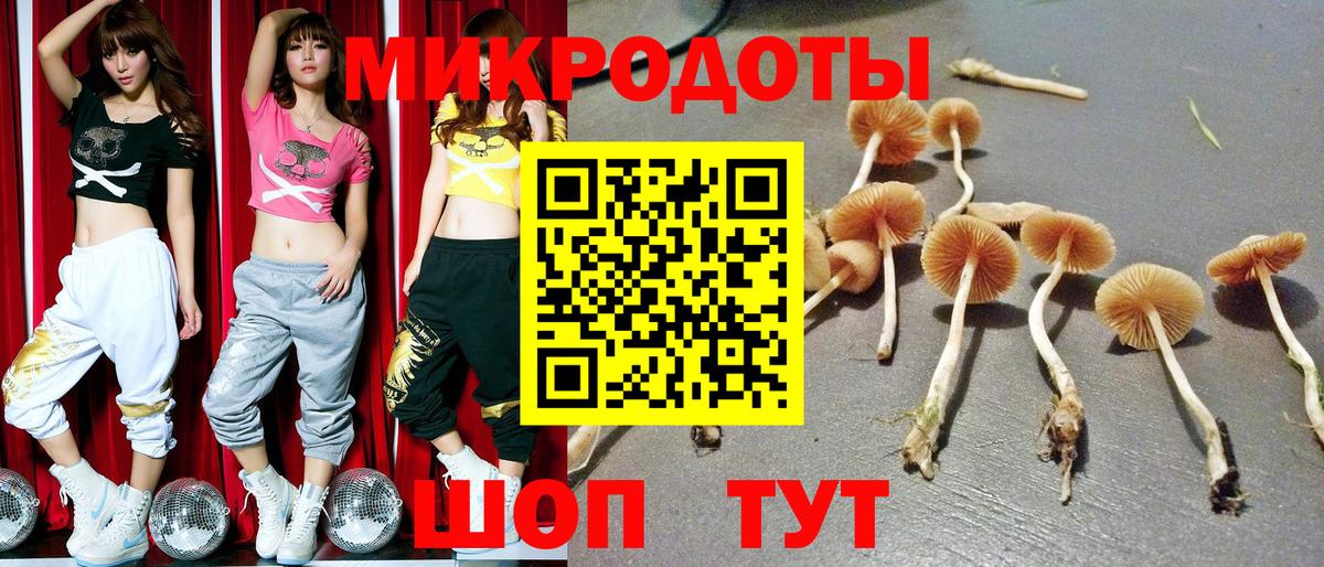 Жигулёвск  Псилоцибиновые грибы прущие грибы  Псилоцибиновые грибы MAGIC MUSHROOMS  Вход с VPN 